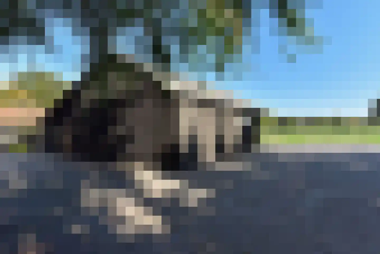 Bellinkhofsdwarsweg 3 Almelo thumbnail 68