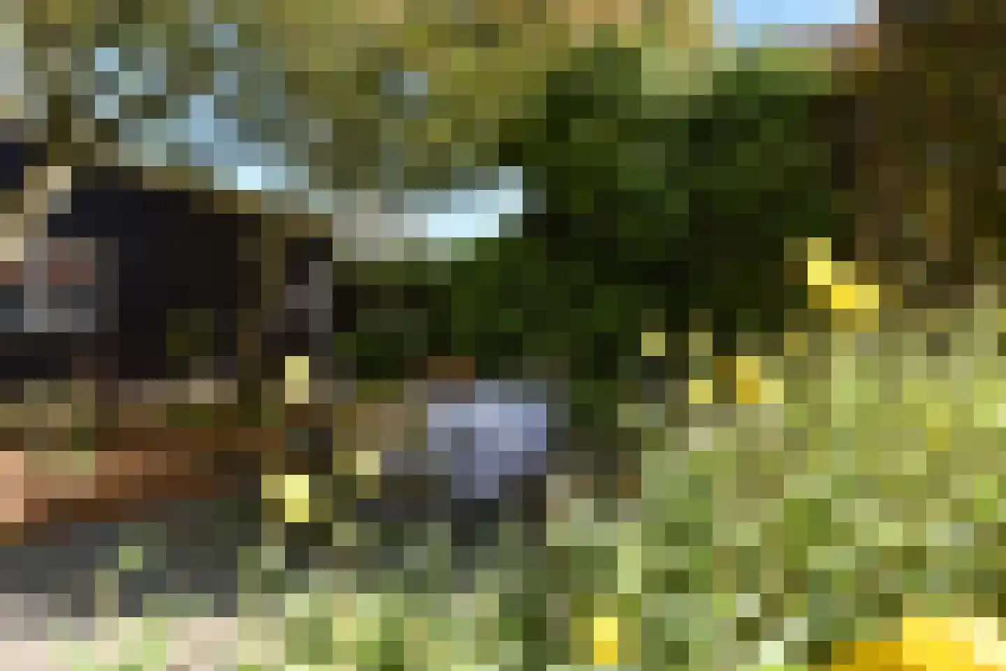 Bellinkhofsdwarsweg 3 Almelo thumbnail 69