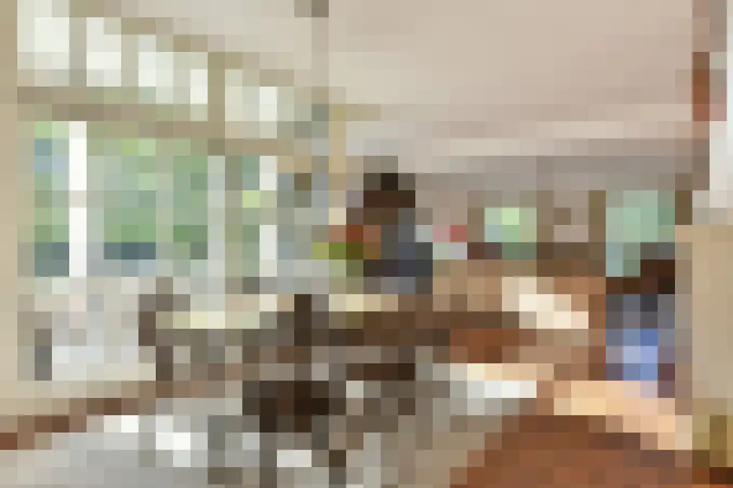 Bellinkhofsdwarsweg 3 Almelo thumbnail 7