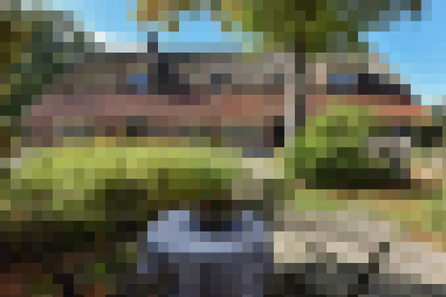 Bellinkhofsdwarsweg 3 Almelo thumbnail 70