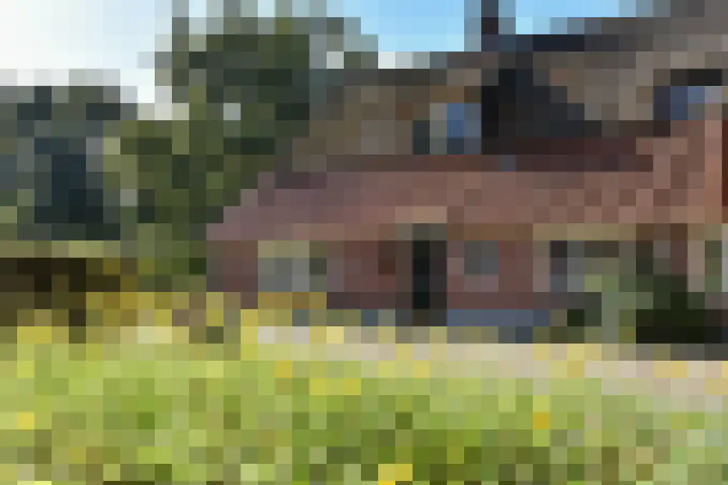 Bellinkhofsdwarsweg 3 Almelo thumbnail 71