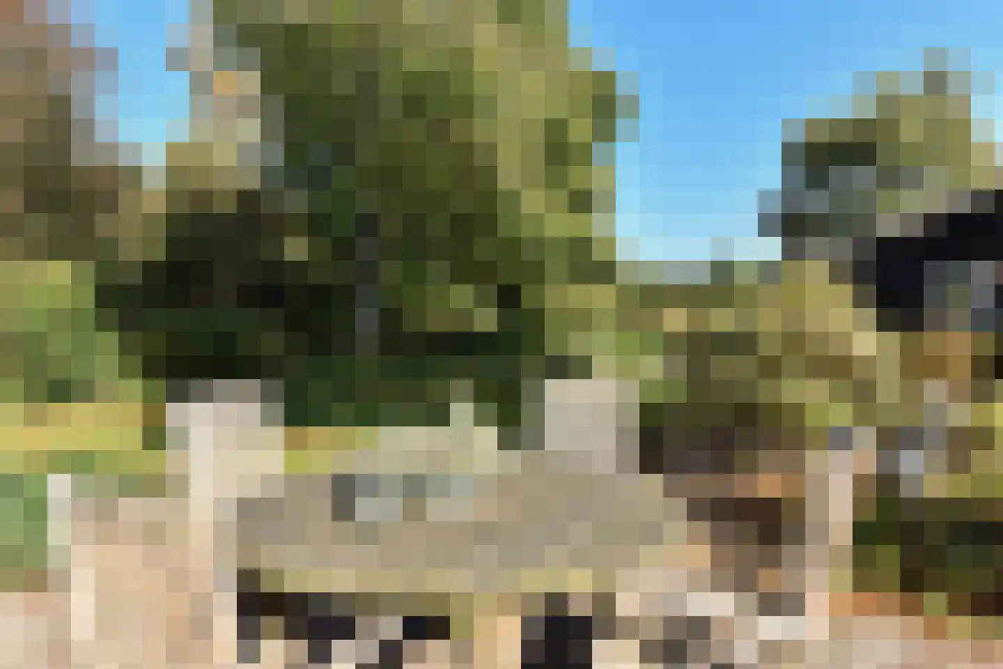 Bellinkhofsdwarsweg 3 Almelo thumbnail 72