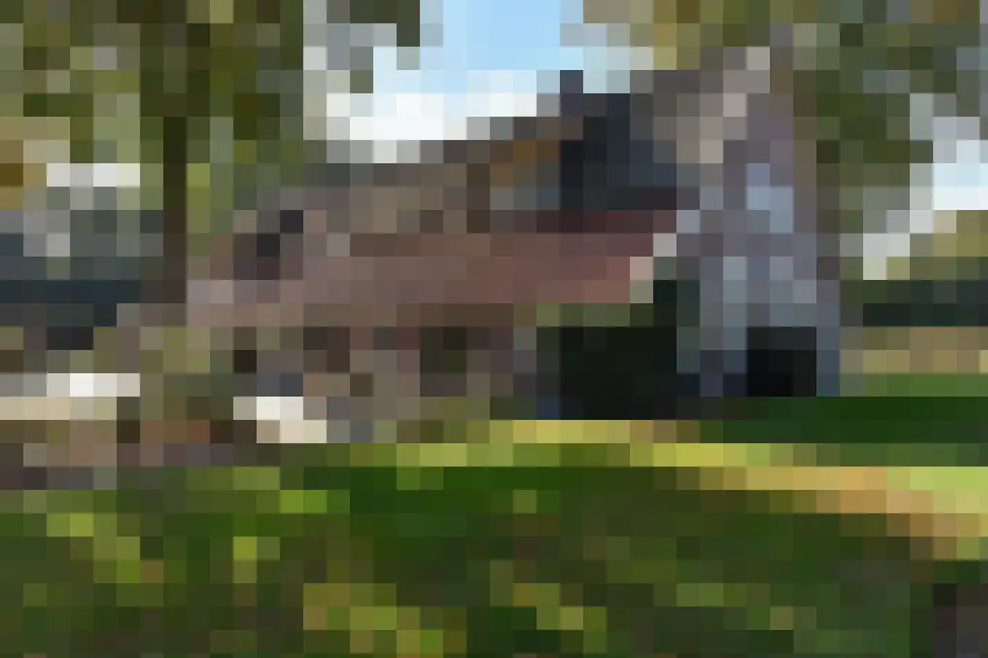 Bellinkhofsdwarsweg 3 Almelo thumbnail 73