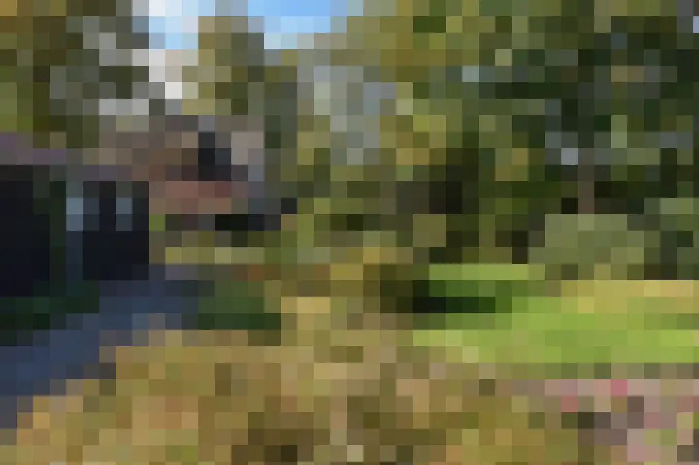 Bellinkhofsdwarsweg 3 Almelo thumbnail 78