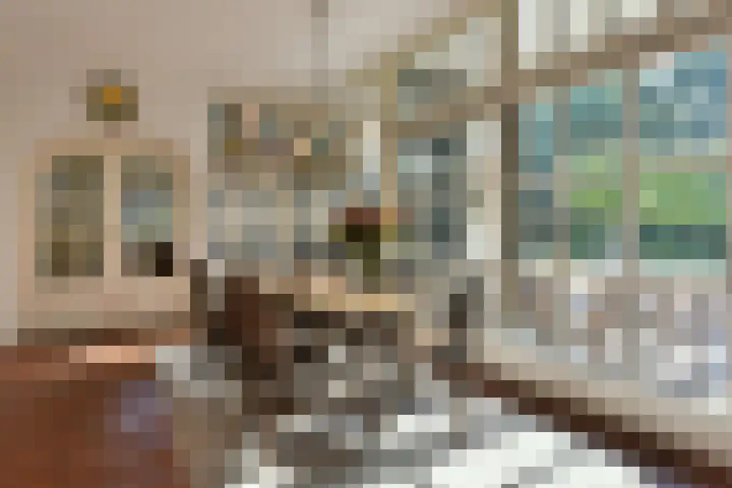 Bellinkhofsdwarsweg 3 Almelo thumbnail 8