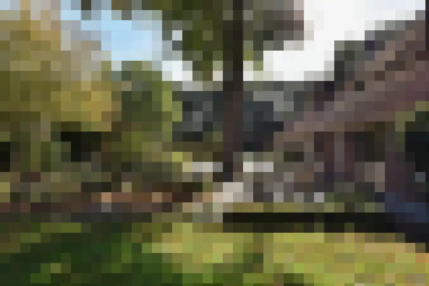 Bellinkhofsdwarsweg 3 Almelo thumbnail 81