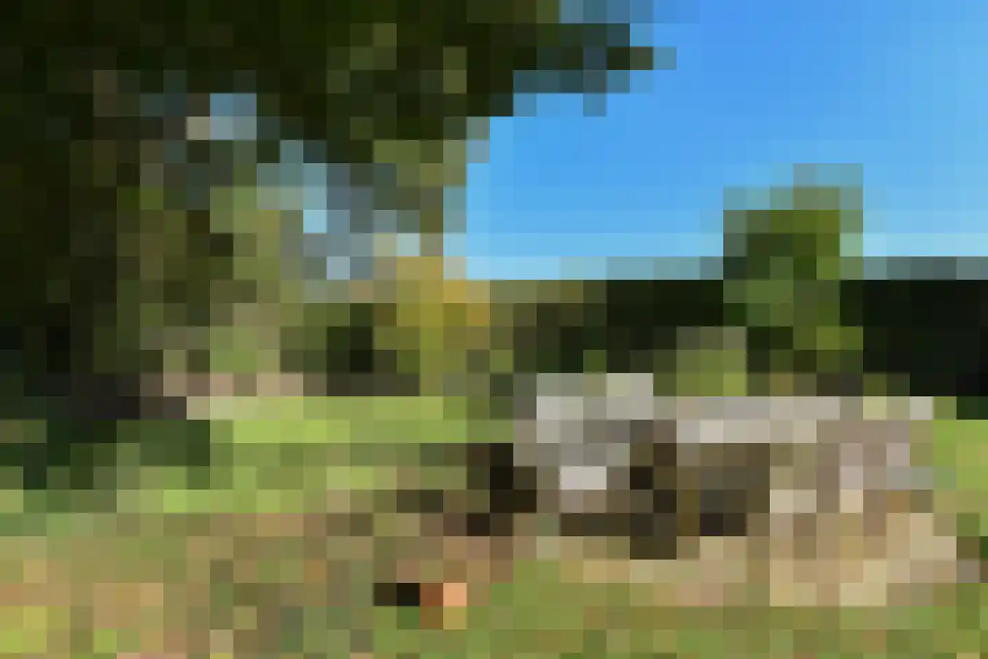 Bellinkhofsdwarsweg 3 Almelo thumbnail 82