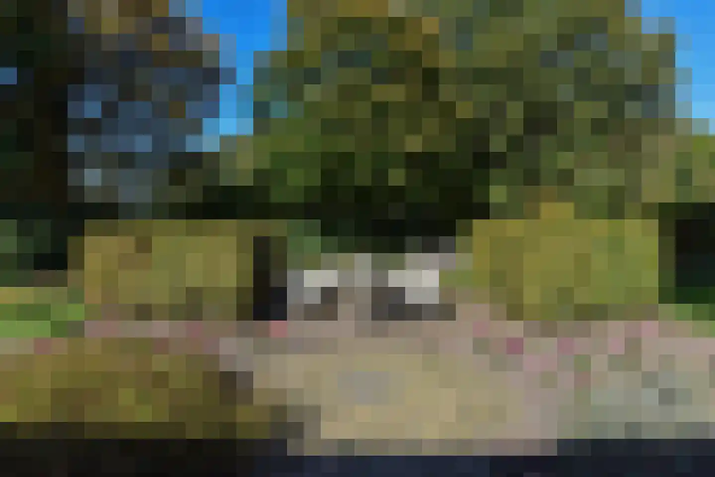 Bellinkhofsdwarsweg 3 Almelo thumbnail 83