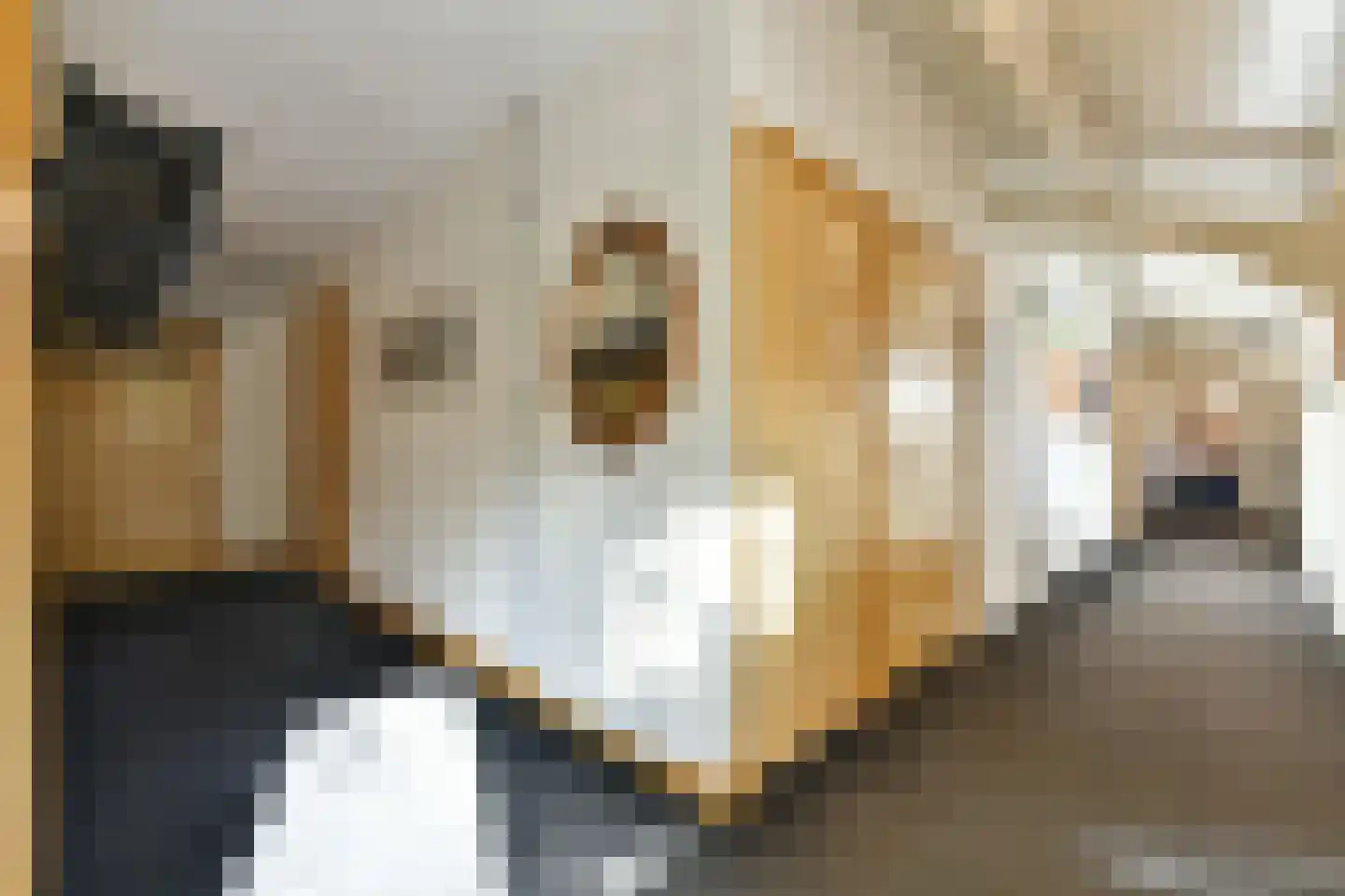 Bellinkhofsdwarsweg 3 Almelo thumbnail 86