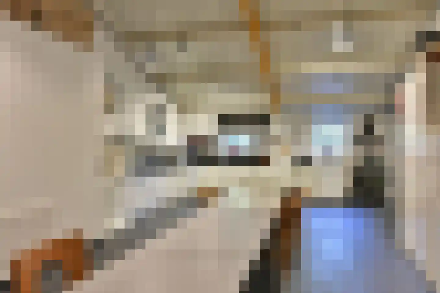 Bellinkhofsdwarsweg 3 Almelo thumbnail 88