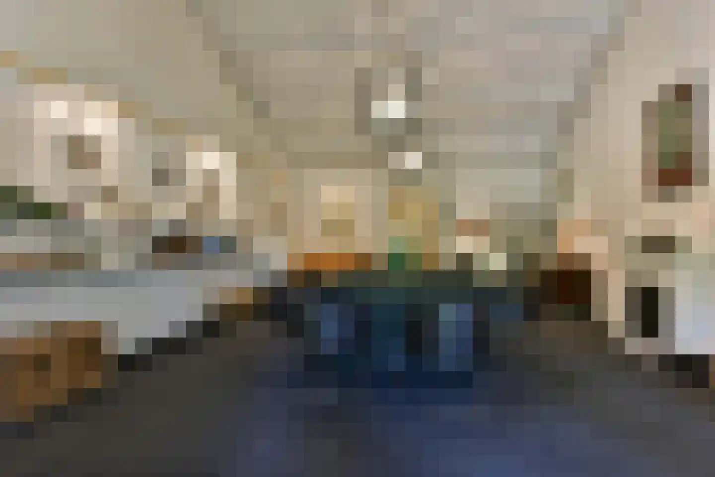 Bellinkhofsdwarsweg 3 Almelo thumbnail 89