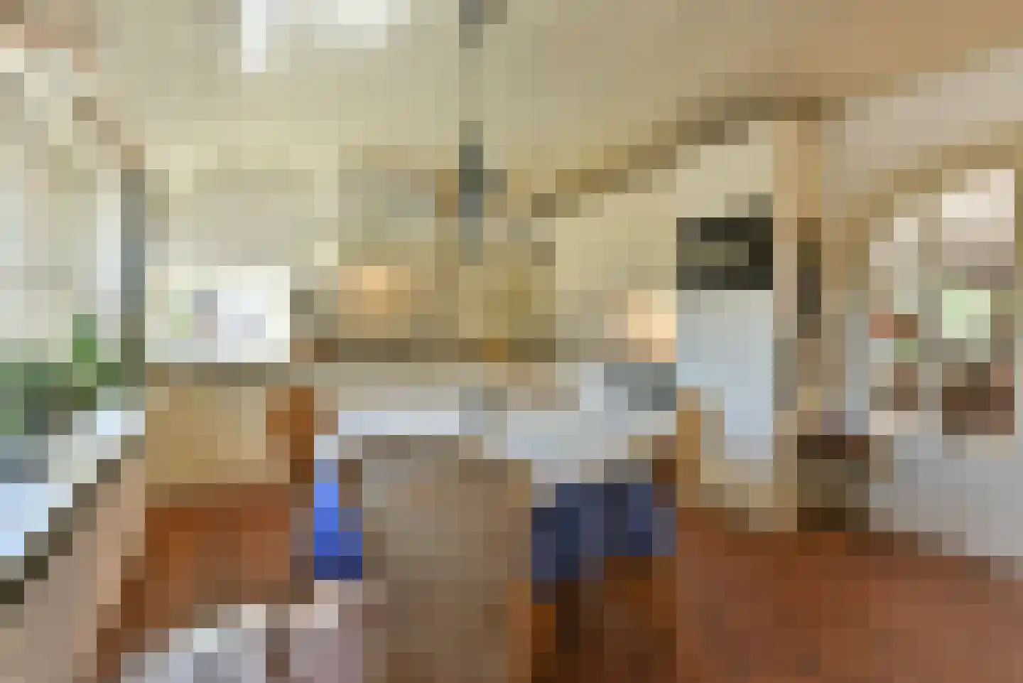 Bellinkhofsdwarsweg 3 Almelo thumbnail 9