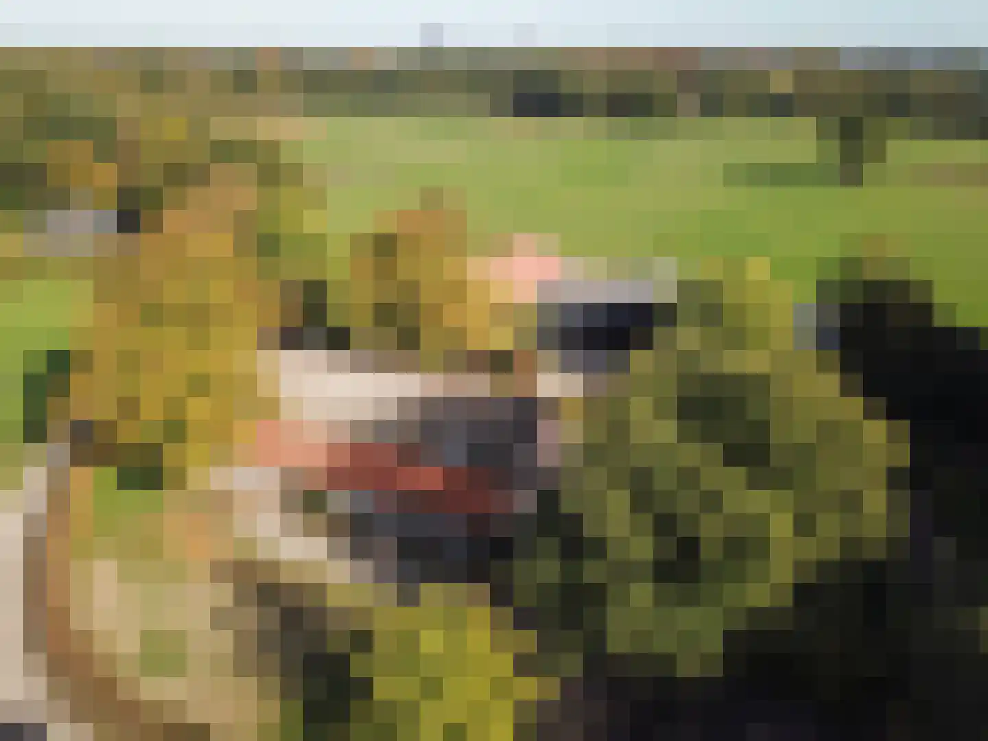 Bellinkhofsdwarsweg 3 Almelo thumbnail 92