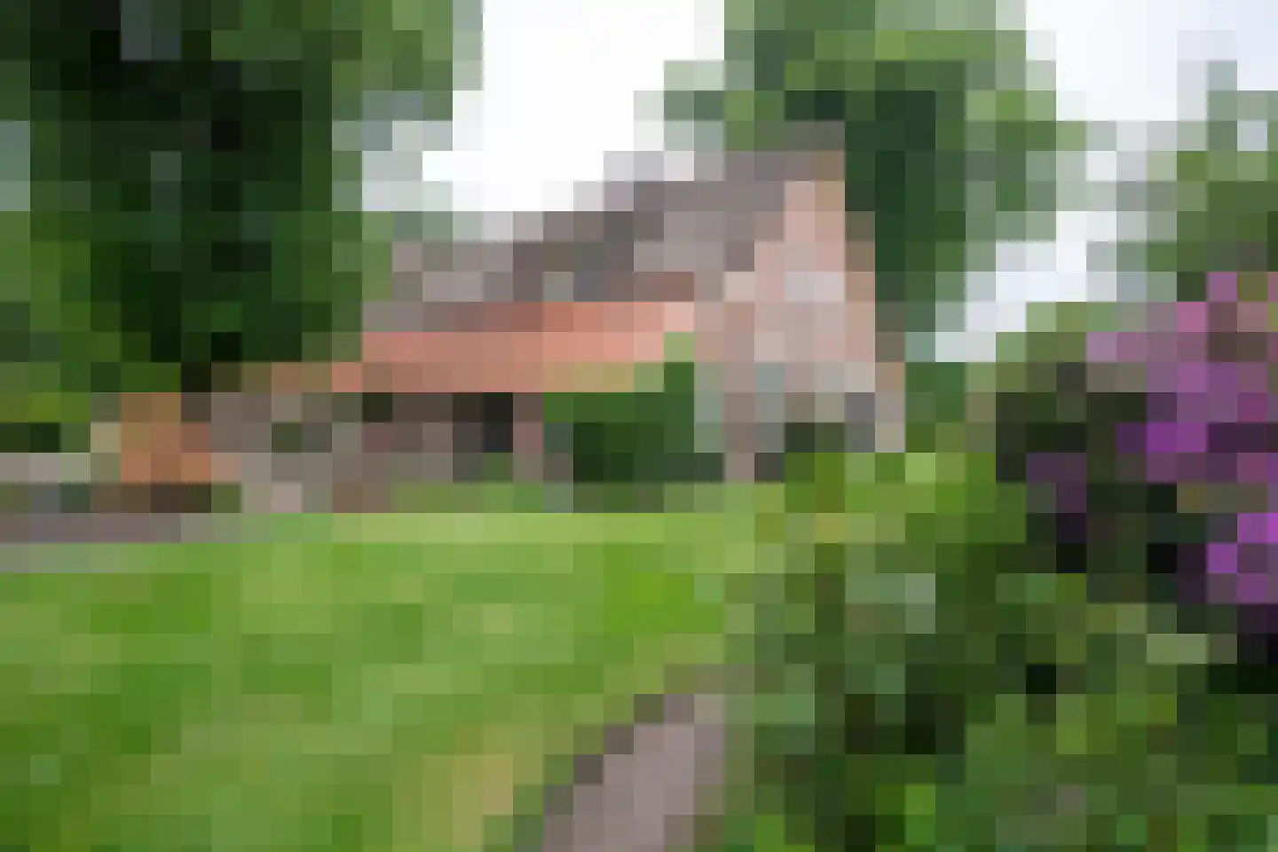 Bellinkhofsdwarsweg 3 Almelo thumbnail 93