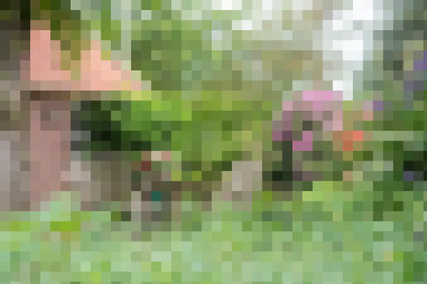 Bellinkhofsdwarsweg 3 Almelo thumbnail 94