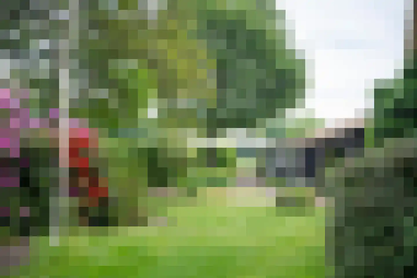 Bellinkhofsdwarsweg 3 Almelo thumbnail 95