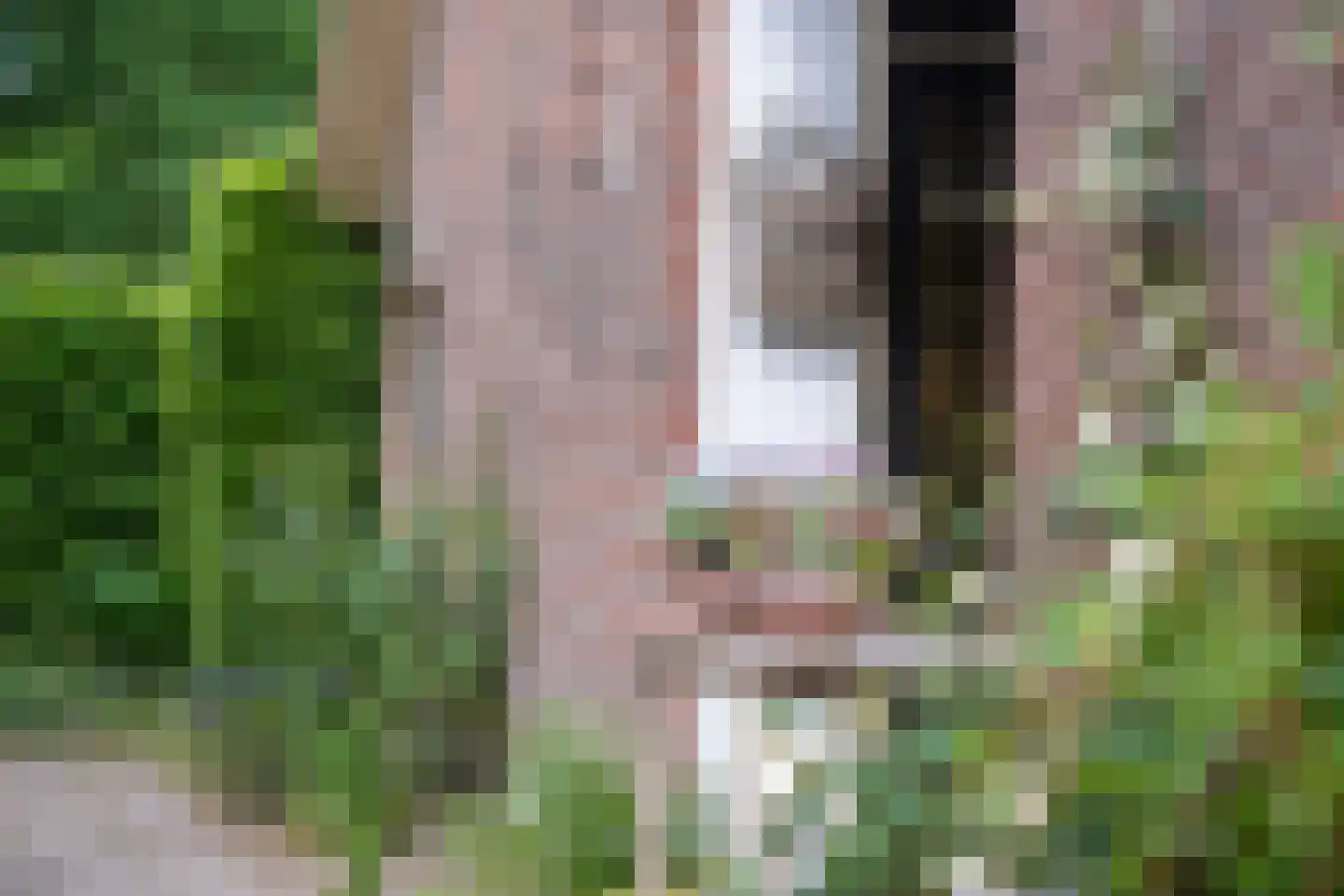 Bellinkhofsdwarsweg 3 Almelo thumbnail 96