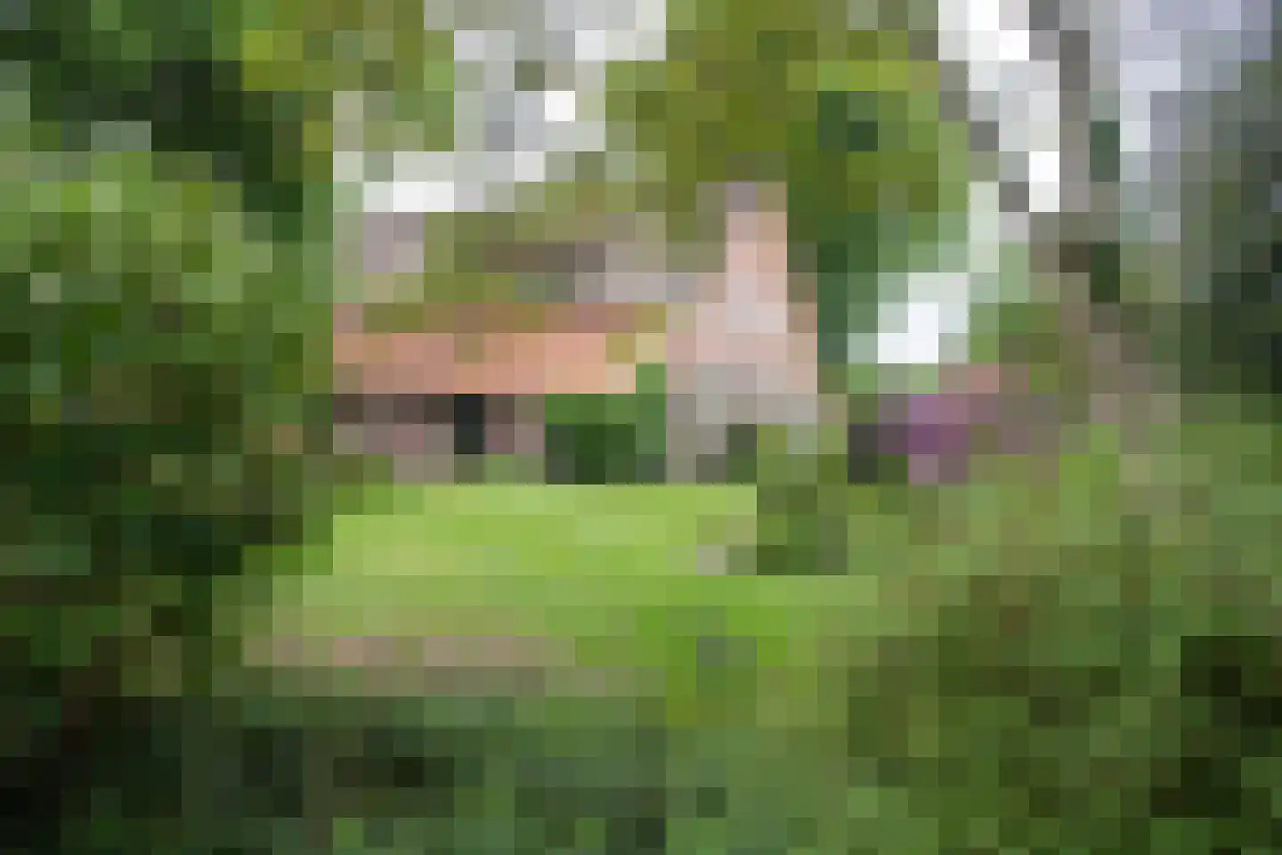 Bellinkhofsdwarsweg 3 Almelo thumbnail 97