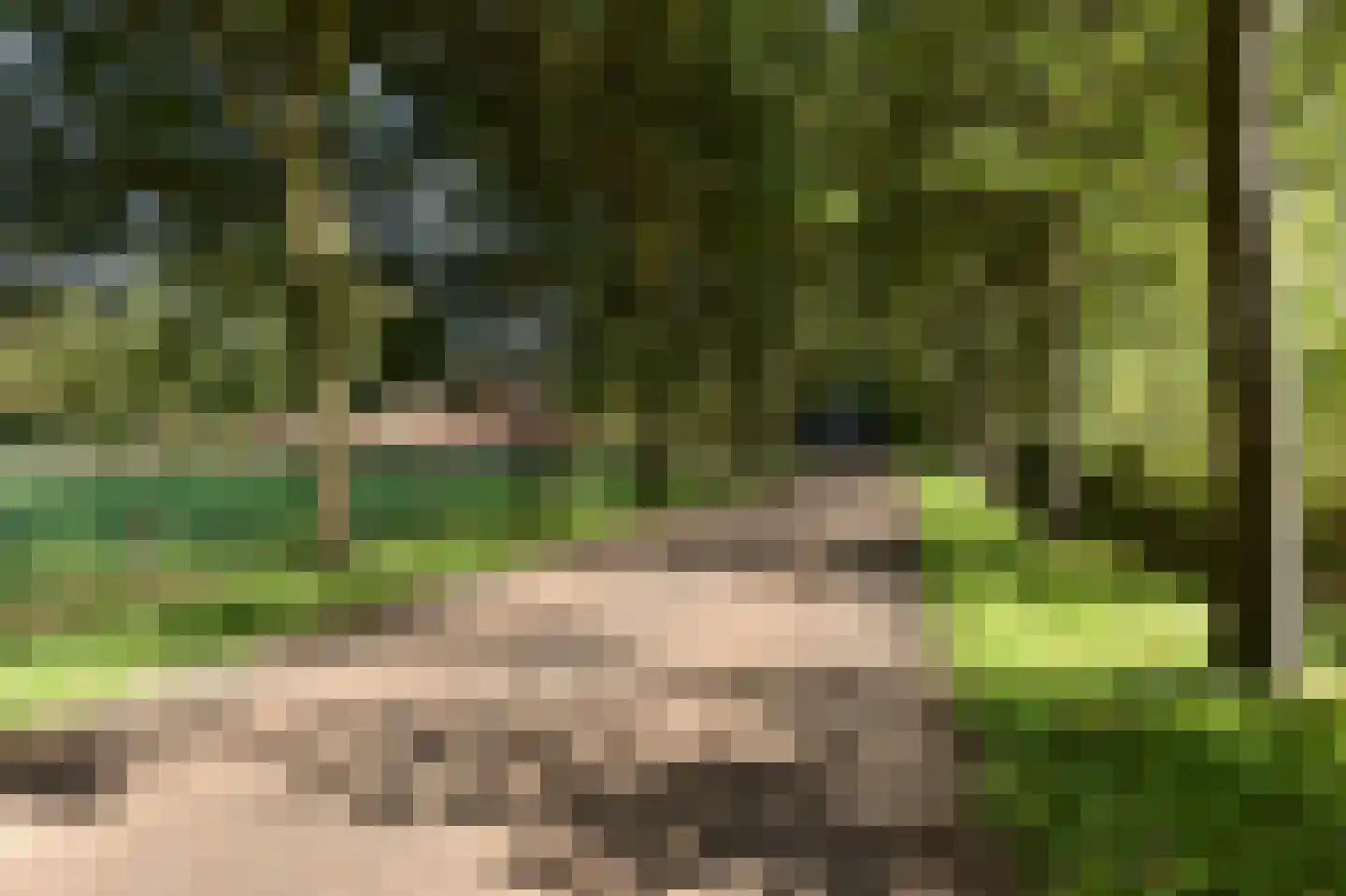 Bellinkhofsdwarsweg 3 Almelo thumbnail 98