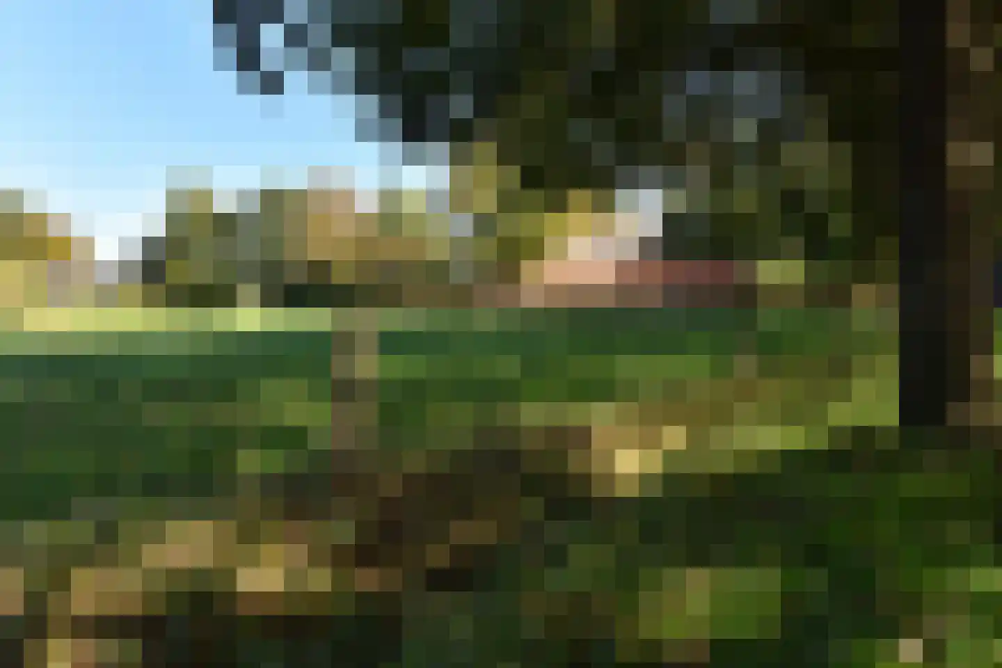 Bellinkhofsdwarsweg 3 Almelo thumbnail 99