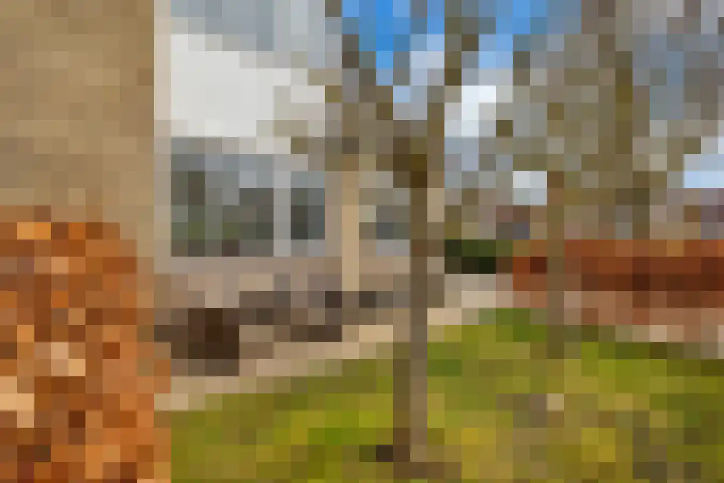 Bellinkstraat 16 Hellevoetsluis thumbnail 11