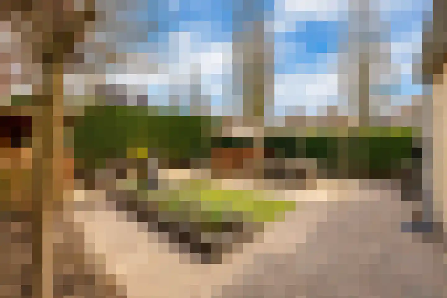 Bellinkstraat 16 Hellevoetsluis thumbnail 25