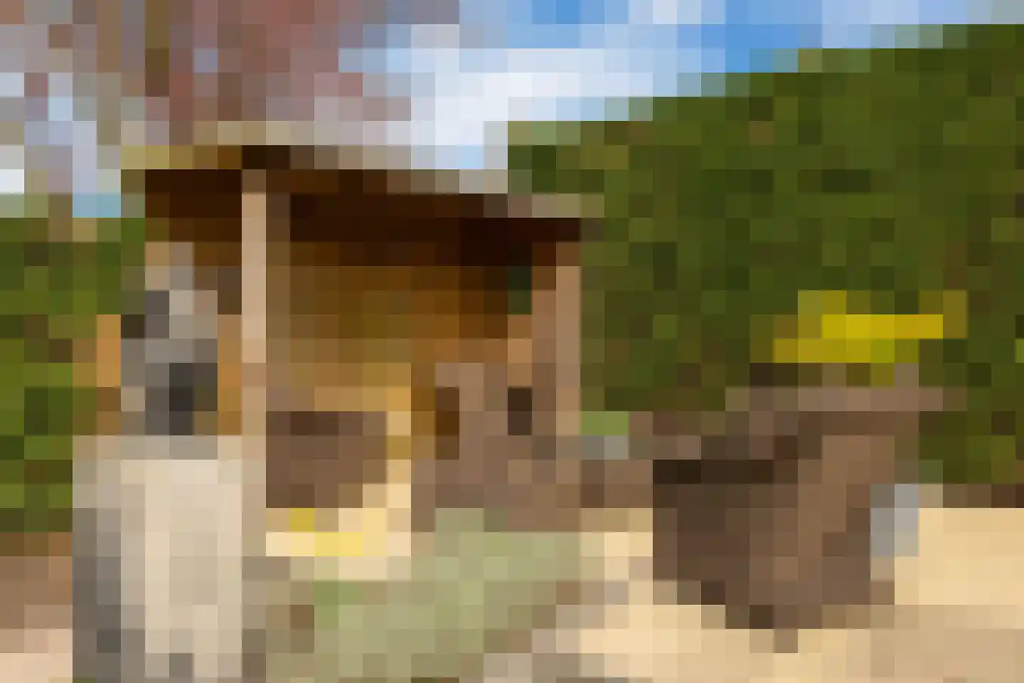 Bellinkstraat 16 Hellevoetsluis thumbnail 29