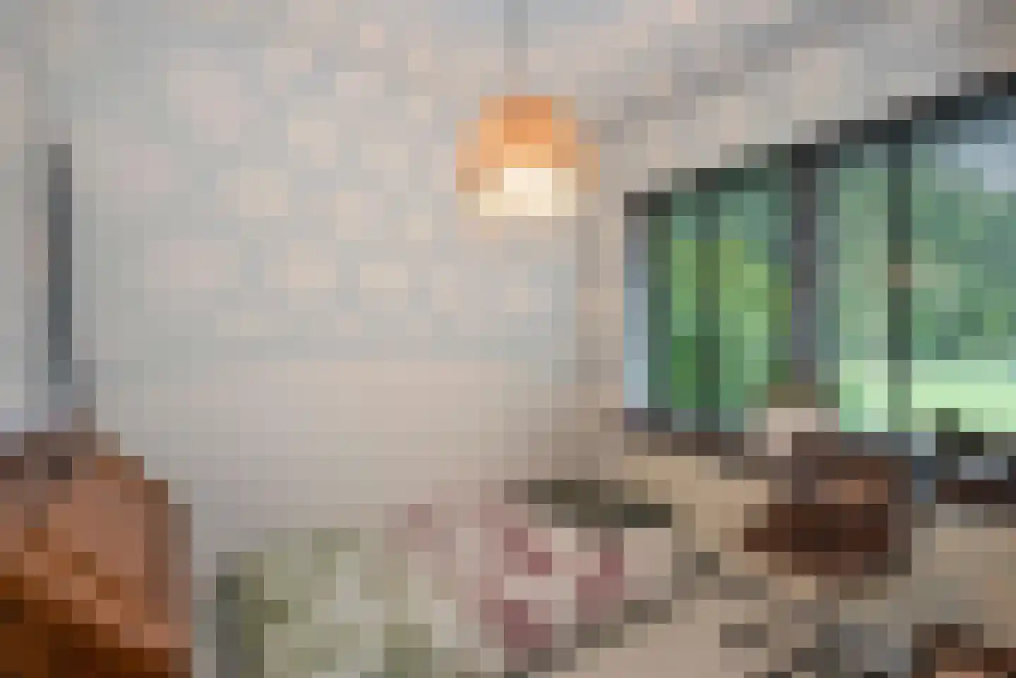 Bellinkweg 1 Delden thumbnail 10