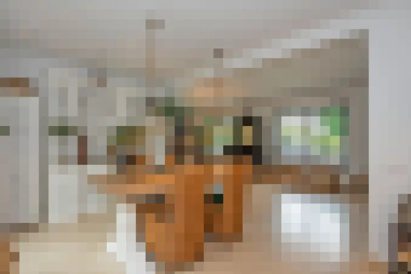 Bellinkweg 1 Delden thumbnail 14