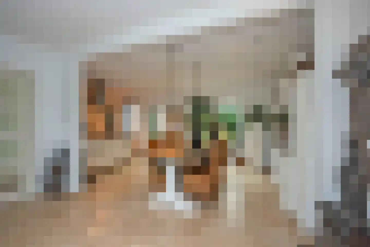 Bellinkweg 1 Delden thumbnail 15