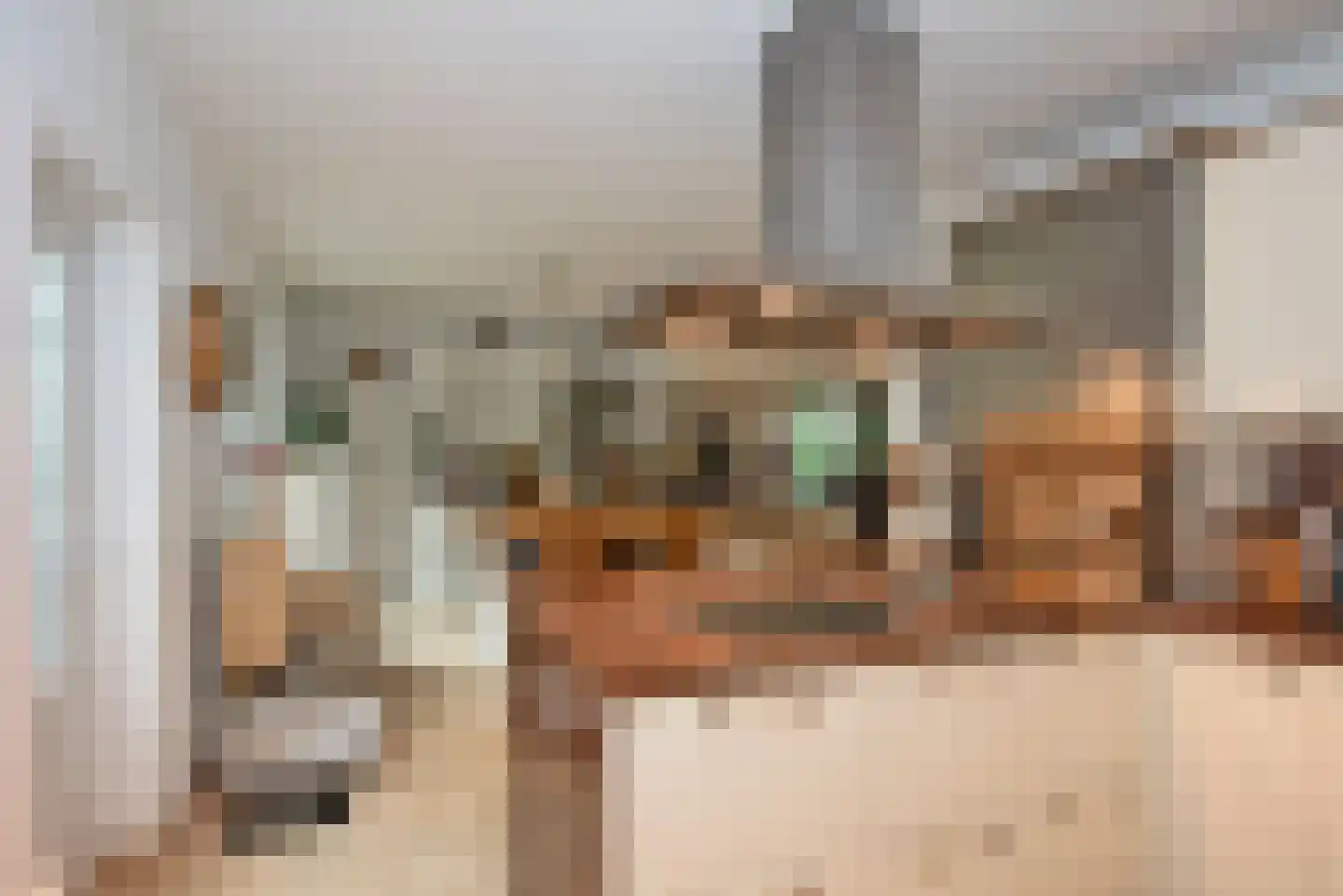 Bellinkweg 1 Delden thumbnail 17