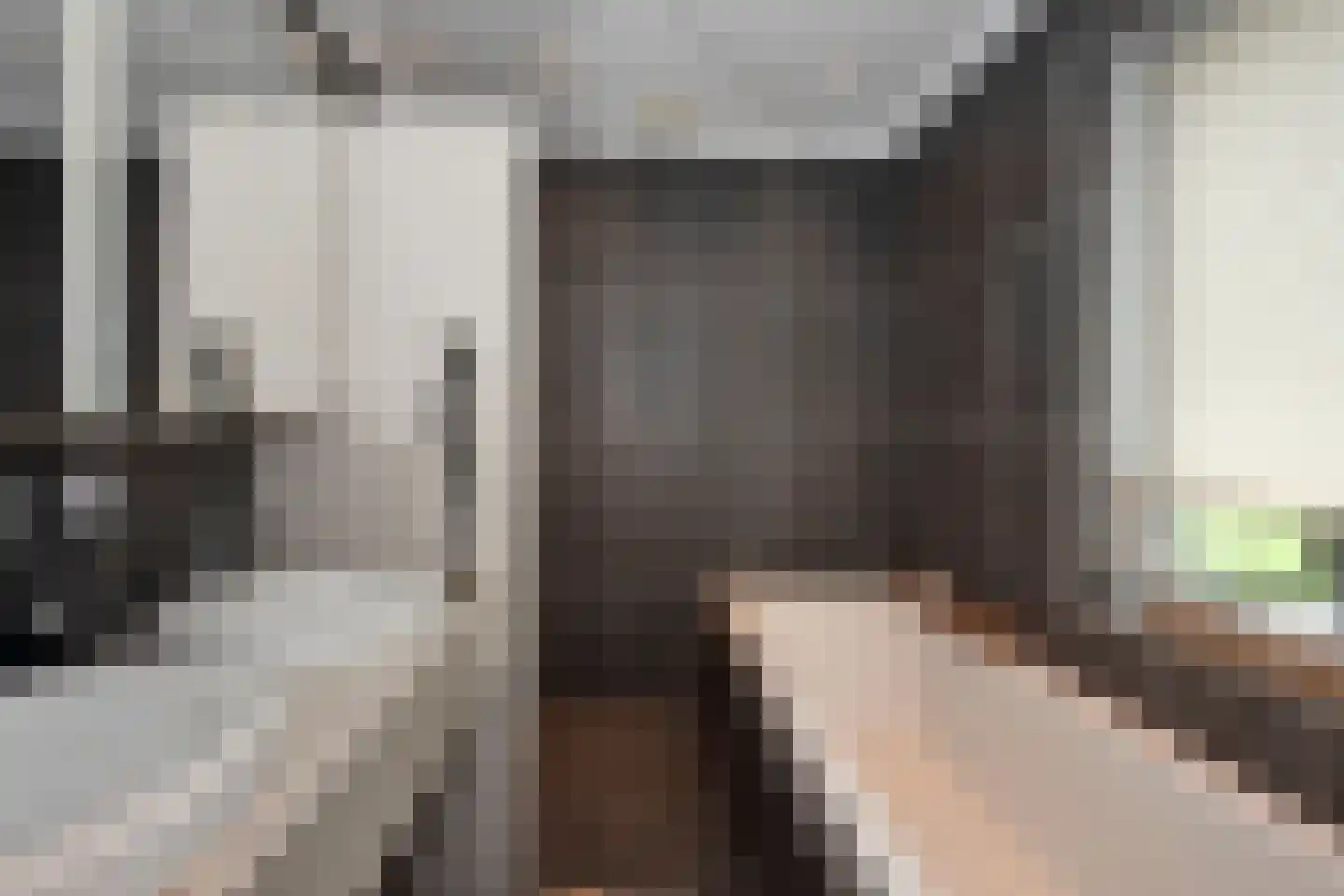 Bellinkweg 1 Delden thumbnail 23