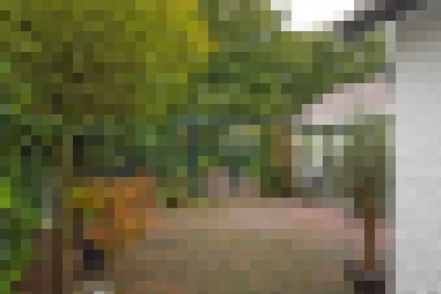 Bellinkweg 1 Delden thumbnail 31