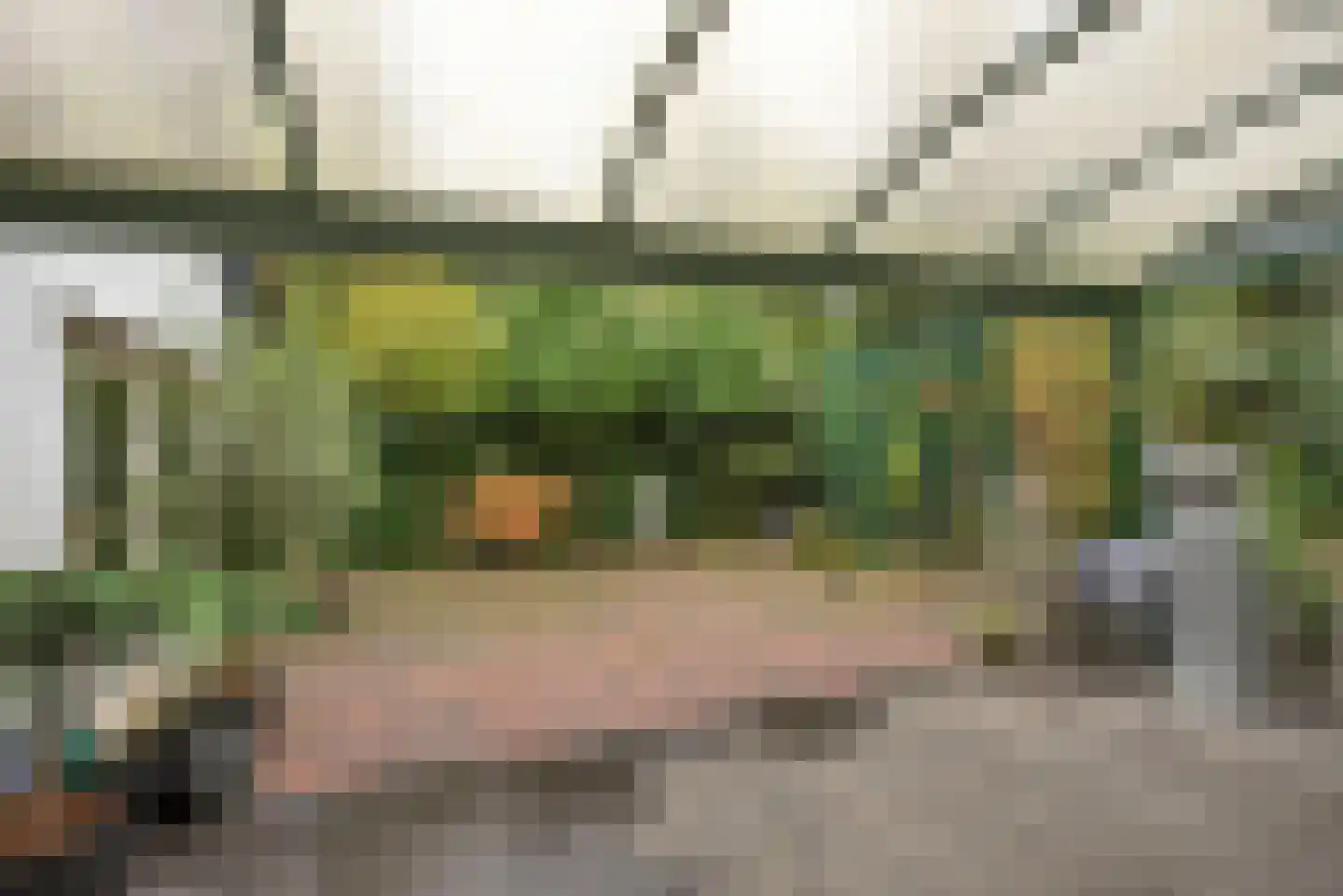 Bellinkweg 1 Delden thumbnail 33