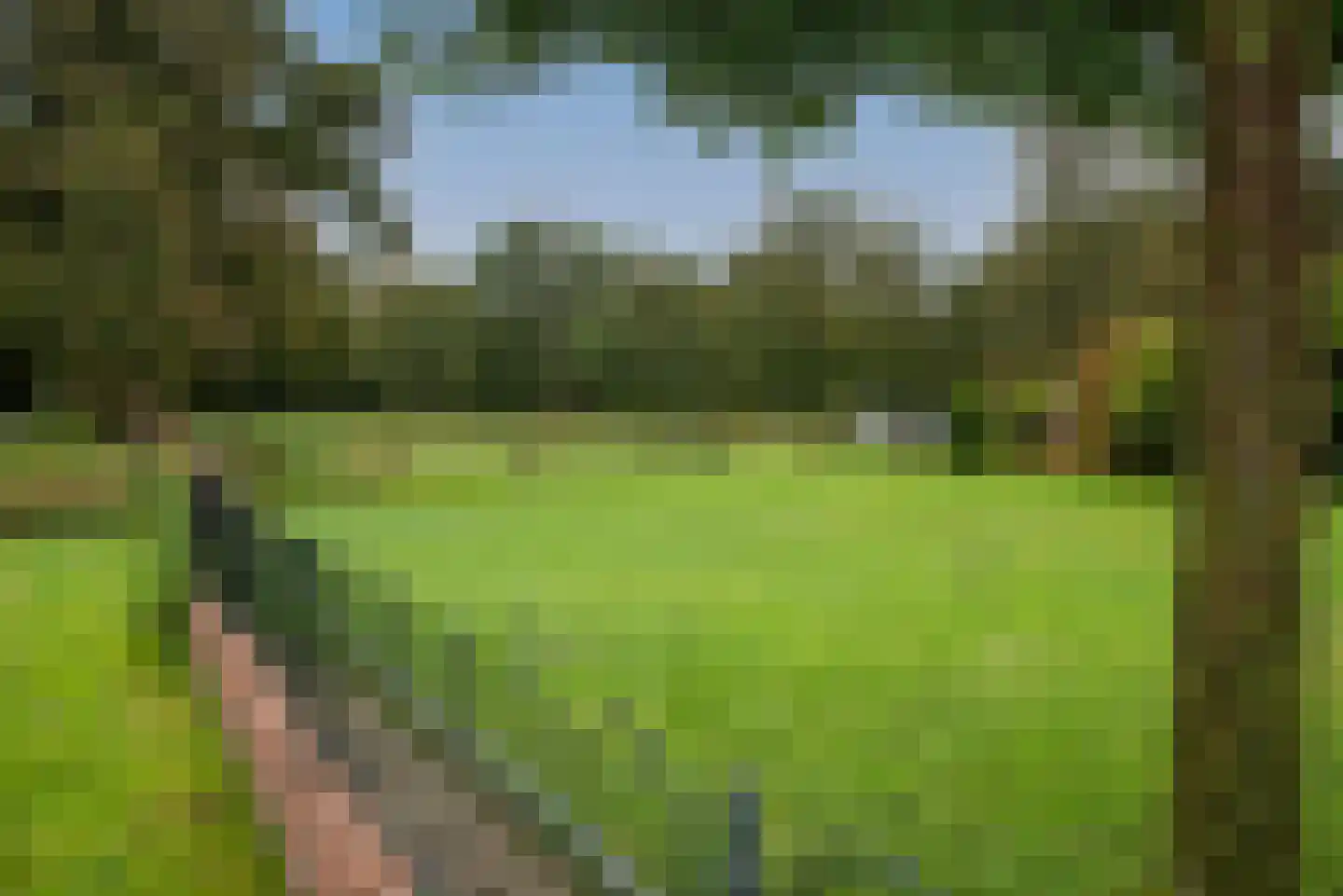 Bellinkweg 1 Delden thumbnail 37