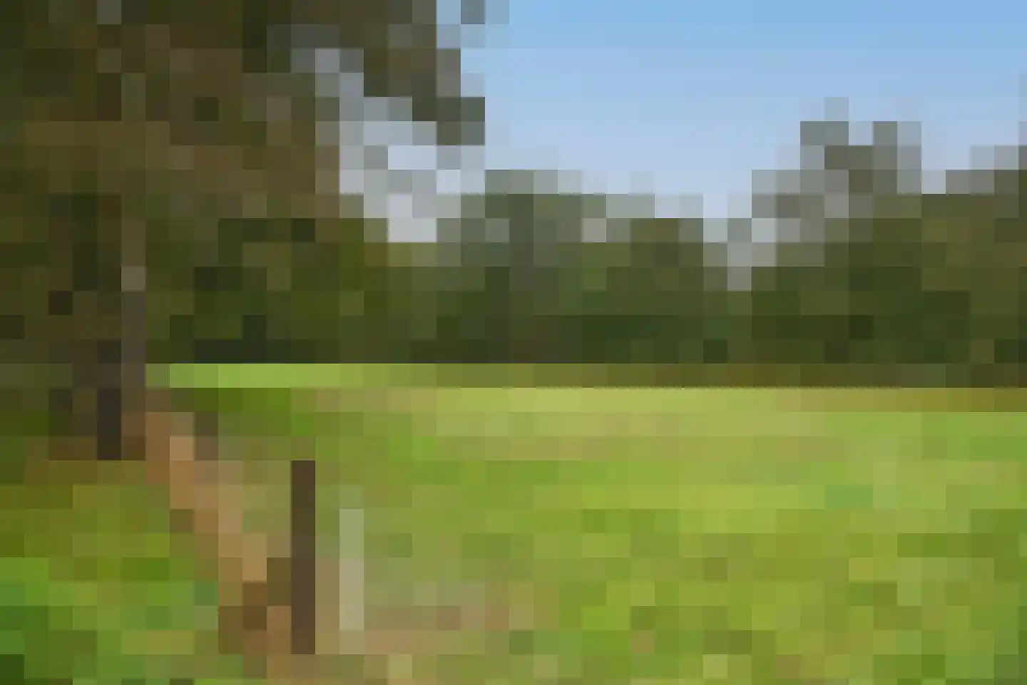 Bellinkweg 1 Delden thumbnail 39