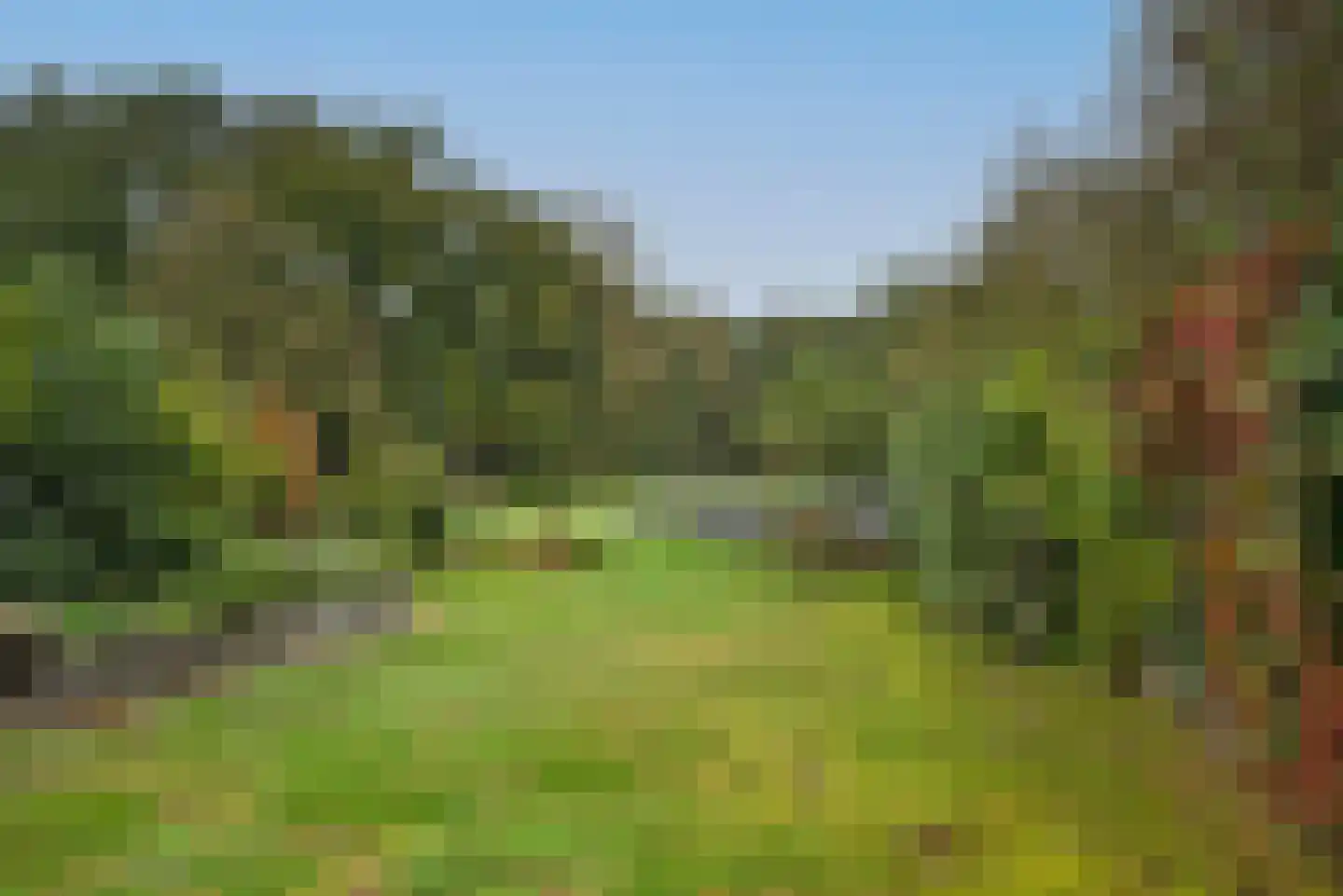 Bellinkweg 1 Delden thumbnail 4
