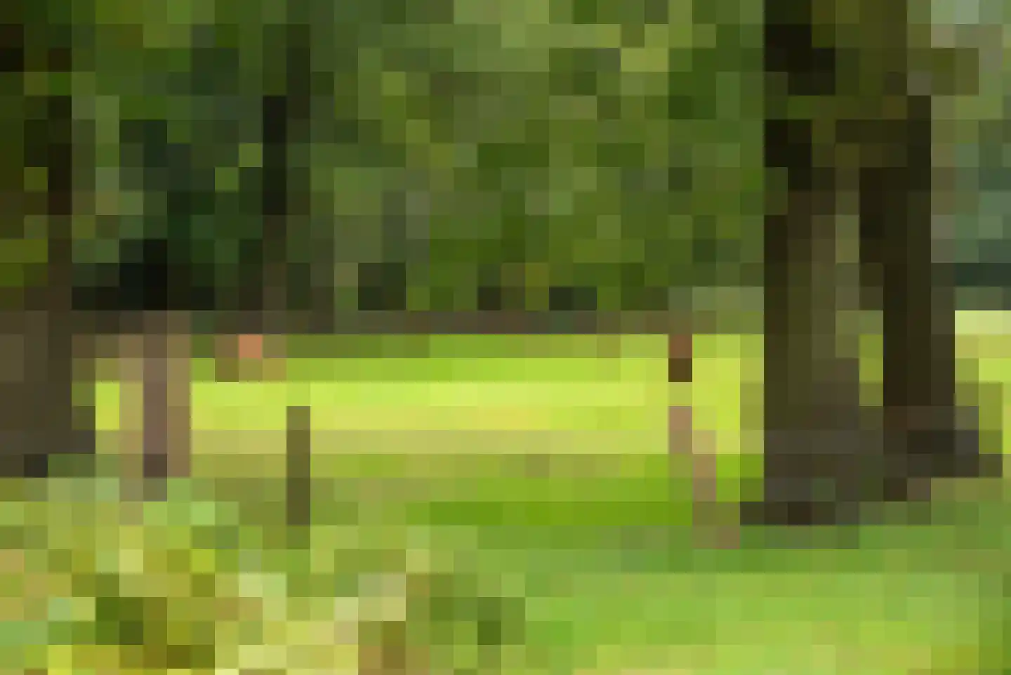 Bellinkweg 1 Delden thumbnail 40