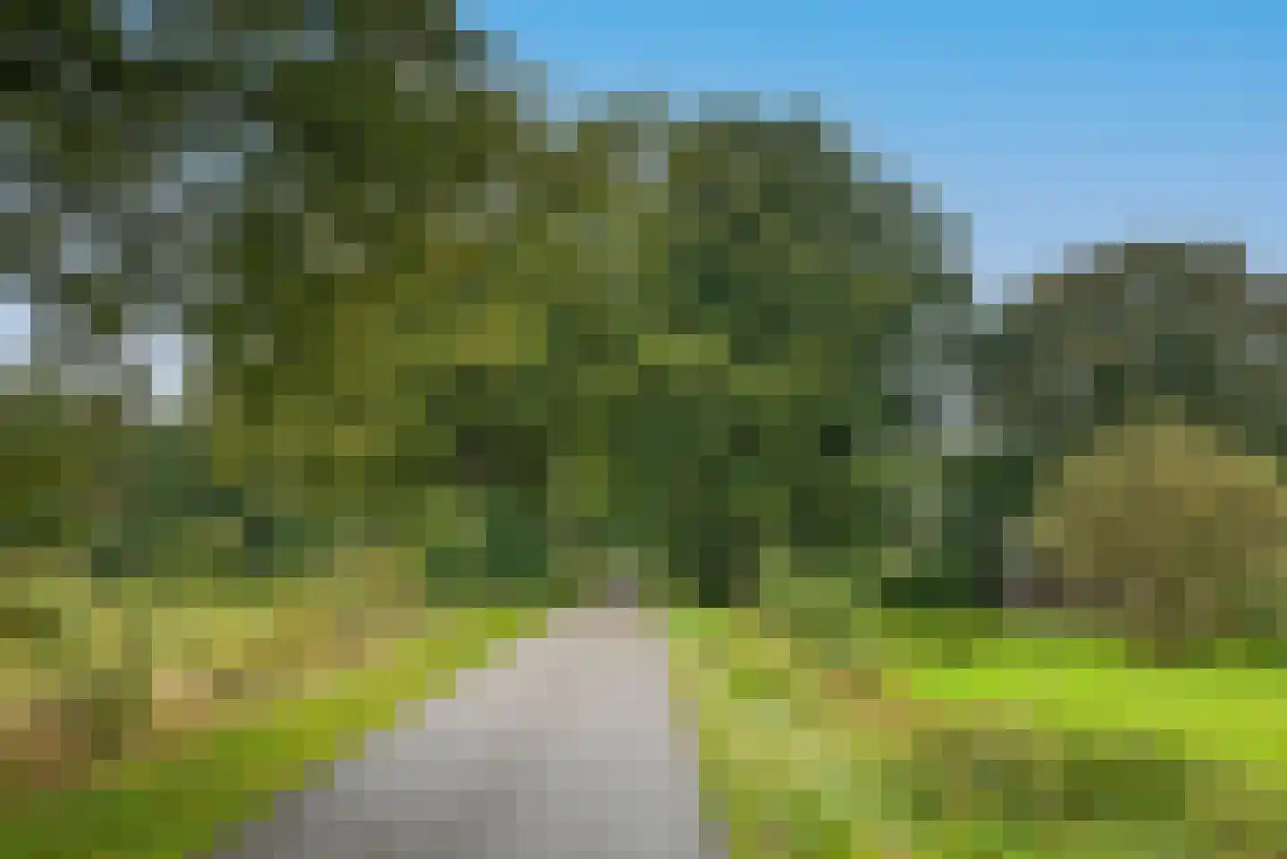 Bellinkweg 1 Delden thumbnail 41