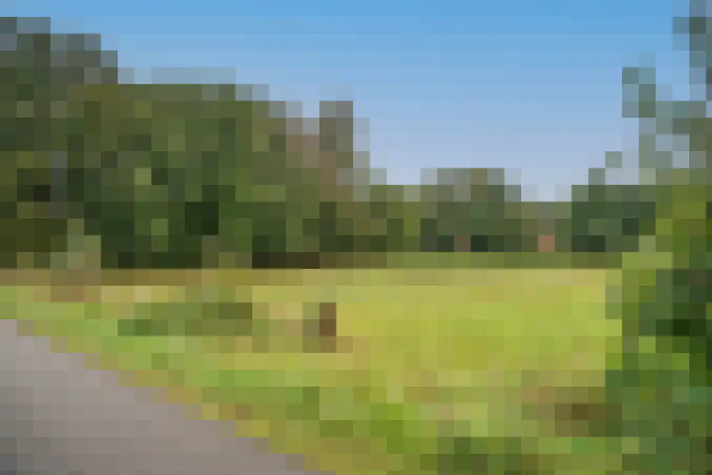 Bellinkweg 1 Delden thumbnail 42