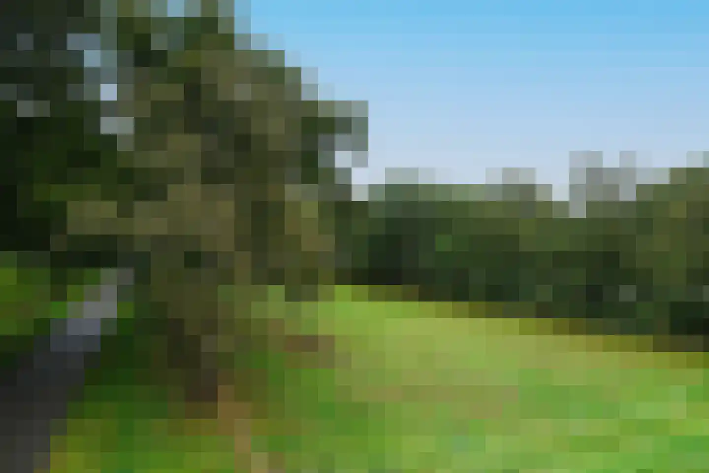 Bellinkweg 1 Delden thumbnail 44