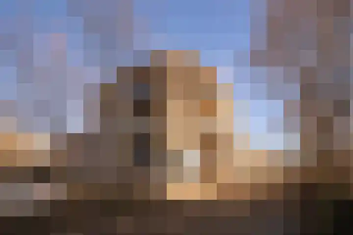 Bellomontedomein 104 A Maastricht thumbnail 17