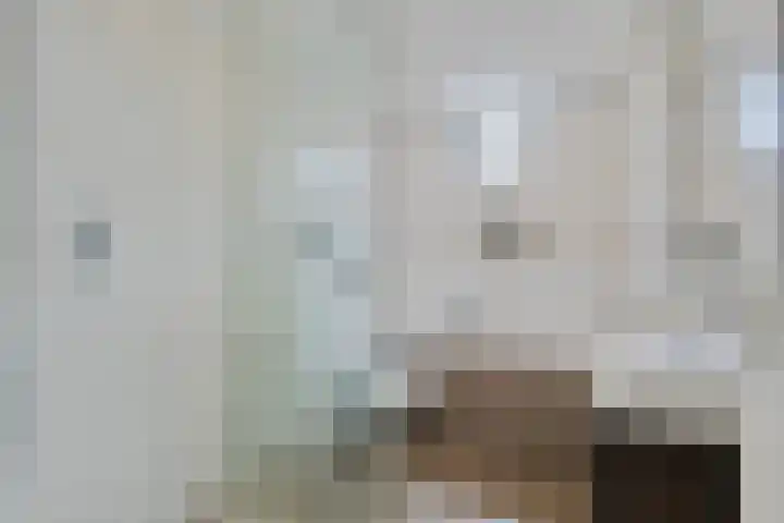 Bellomontedomein 42 Maastricht thumbnail 15