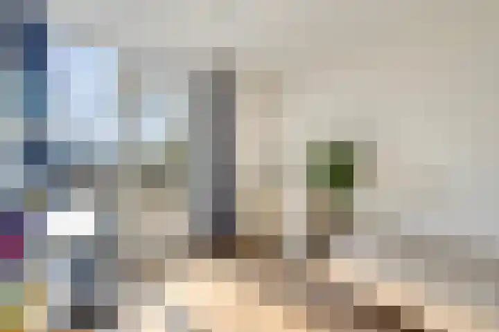 Bellomontedomein 42 Maastricht thumbnail 19
