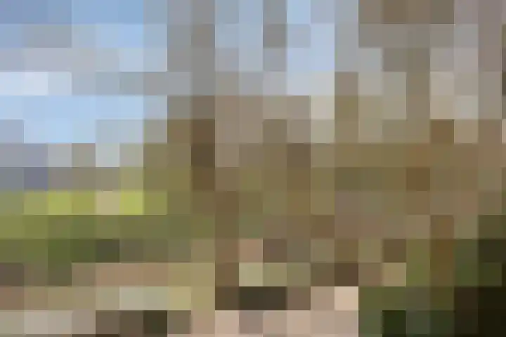 Bellomontedomein 42 Maastricht thumbnail 21