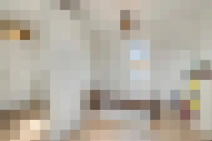 Bellomontedomein 42 Maastricht thumbnail 22