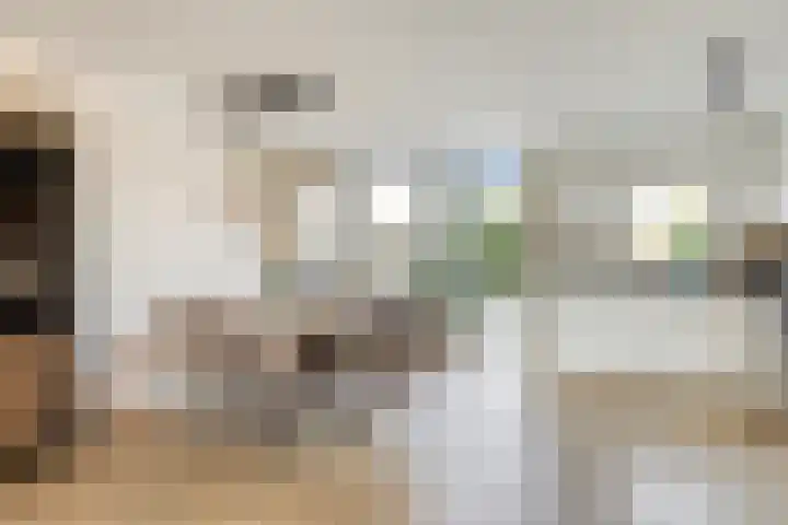 Bellomontedomein 42 Maastricht thumbnail 8