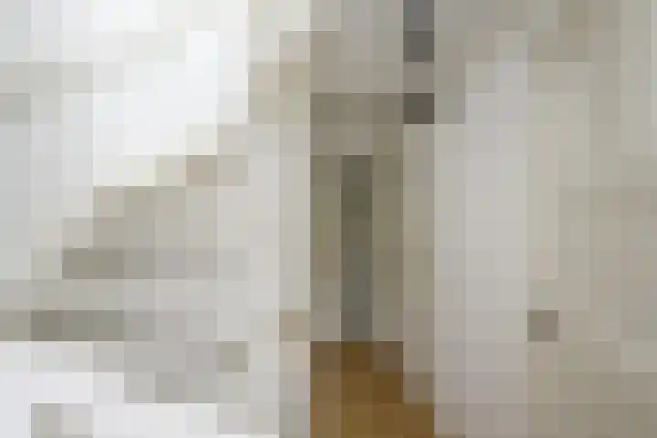 Bellstraat 17 Hilversum thumbnail 25