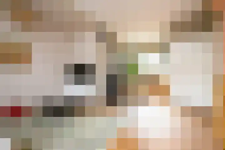 Bellstraat 17 Hilversum thumbnail 7