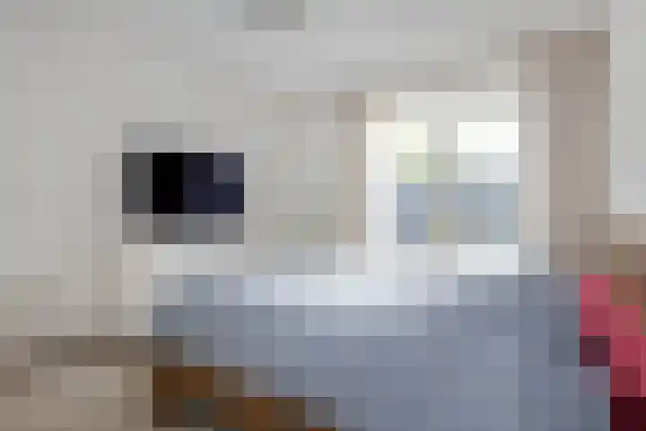 Bellstraat 4 Sittard thumbnail 11